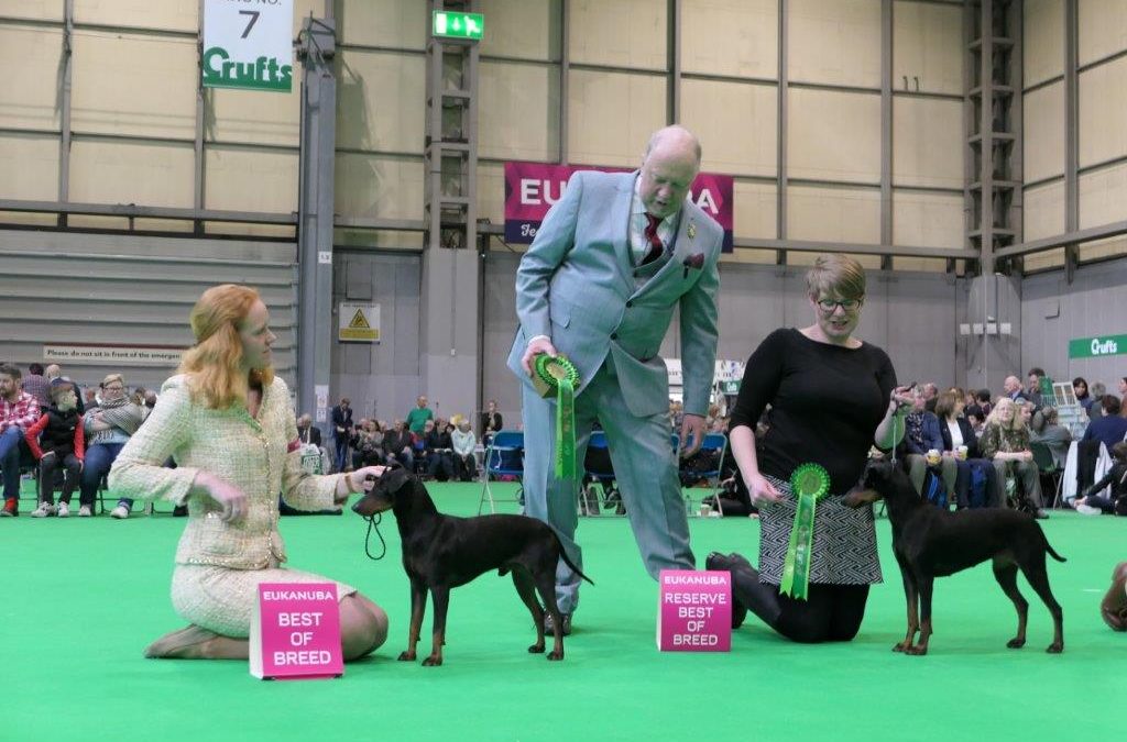 + Crufts