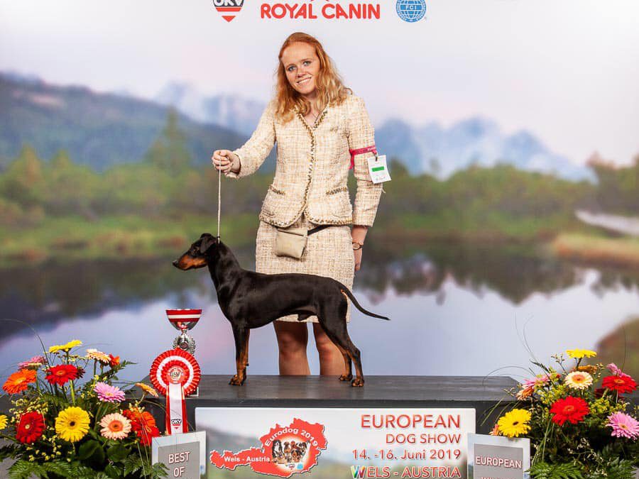 + European Dogshow Wels