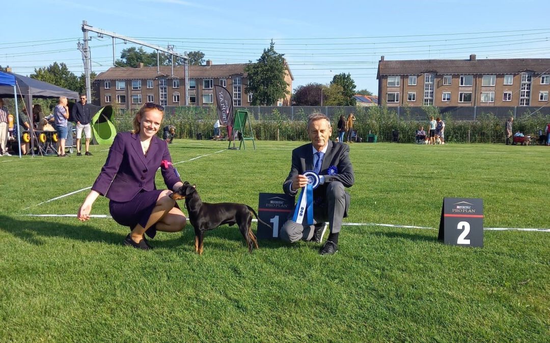 + Outdoor Dogshow Zwolle’21