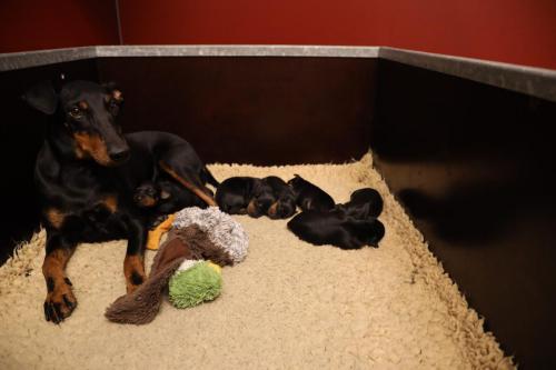 Zenna x Viper 2025_1 week