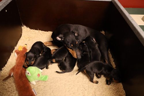 Sanne-x-Dominik-2026_2weken-015