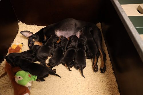 Sanne-x-Dominik-2026_2weken-017