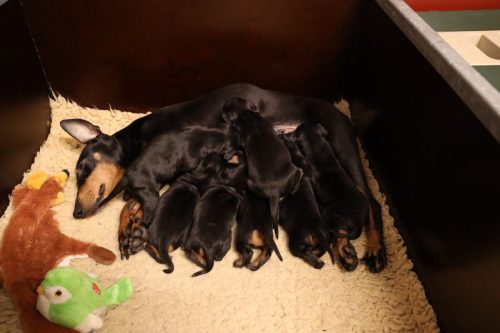 Sanne-x-Dominik-2026_2weken-024