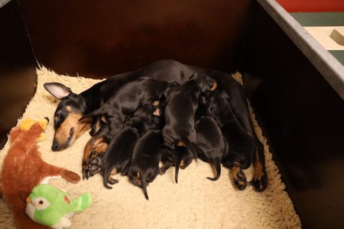 Sanne-x-Dominik-2026_2weken-025