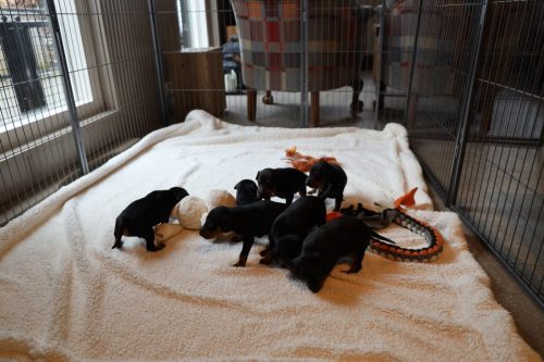 Sanne x Dominik 2026_3 weken008