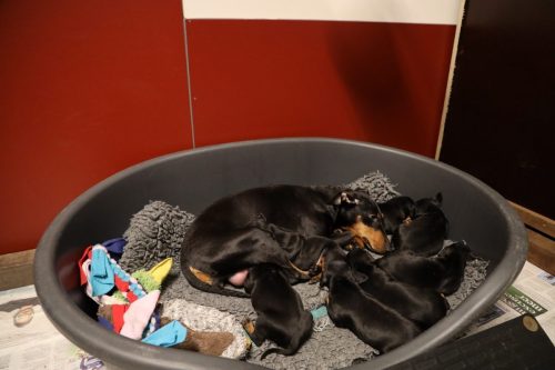 Sanne x Dominik 2026_3 weken017