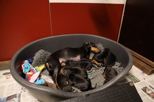 Sanne x Dominik 2026_3 weken019