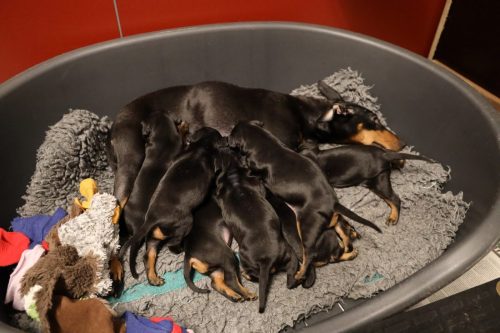 Sanne x Dominik 2026_3 weken023