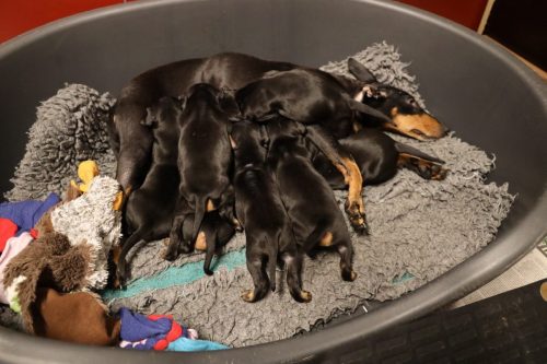 Sanne x Dominik 2026_3 weken024