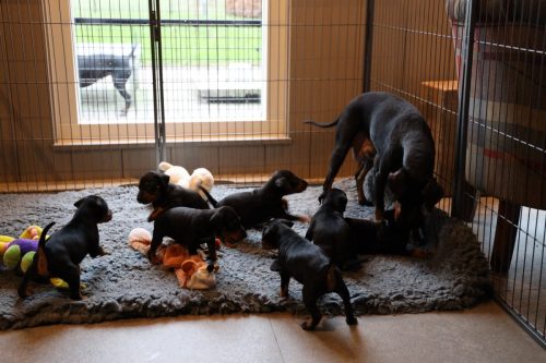 Sanne x Dominik 2026_4 weken016