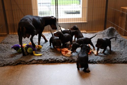 Sanne x Dominik 2026_4 weken019