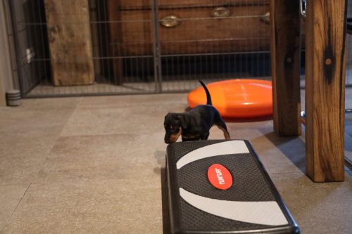 Sanne x Dominik 2026_5 weken012