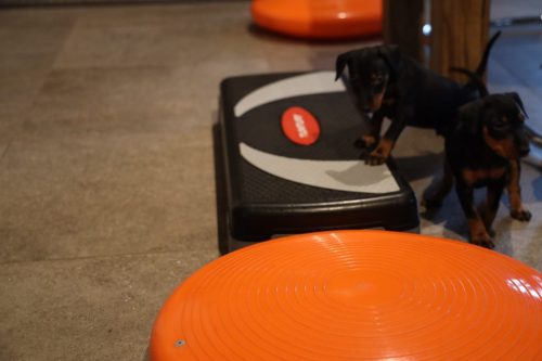 Sanne x Dominik 2026_5 weken015