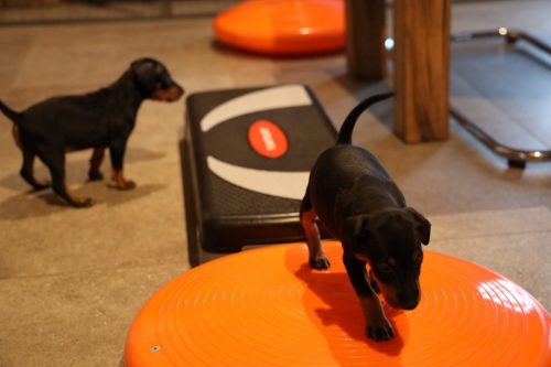 Sanne x Dominik 2026_5 weken021