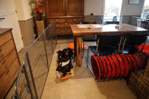 Sanne x Dominik 2026_7 weken001