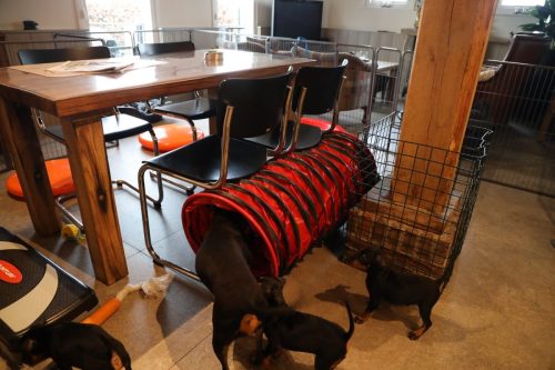 Sanne x Dominik 2026_7 weken005