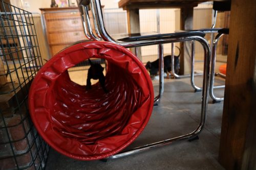 Sanne x Dominik 2026_7 weken011