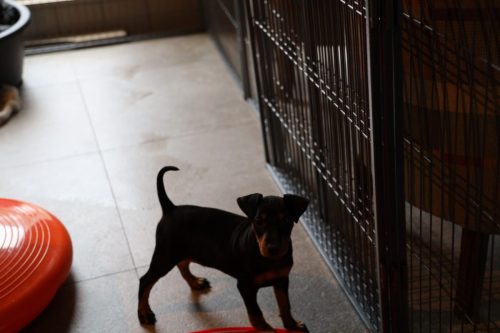 Sanne x Dominik 2026_7 weken021