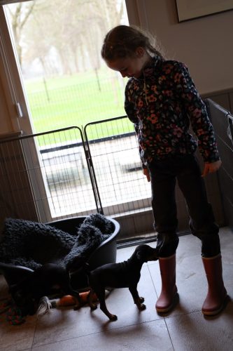 Sanne x Dominik 2026_7 weken023