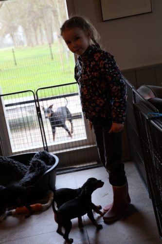 Sanne x Dominik 2026_7 weken024