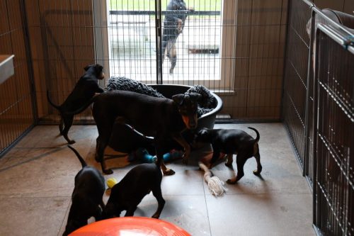 Sanne x Dominik 2026_7 weken028