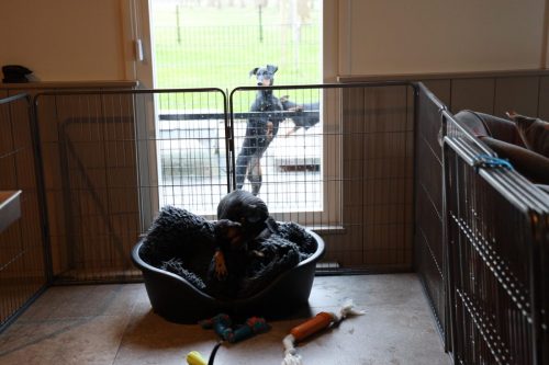 Sanne x Dominik 2026_7 weken029