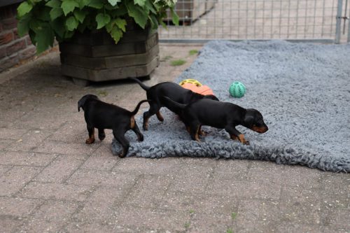 Zenna x Viper 2025_4,5 week020