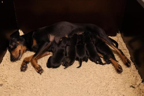Mara x Flynn 2025_6 dagen