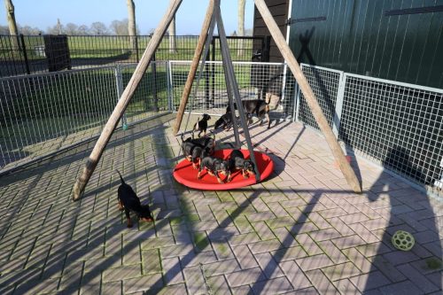 Sanne-x-Dominik-2026 75-week005