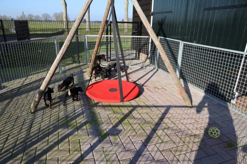 Sanne-x-Dominik-2026 75-week007