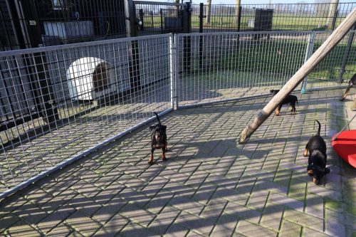 Sanne-x-Dominik-2026 75-week010