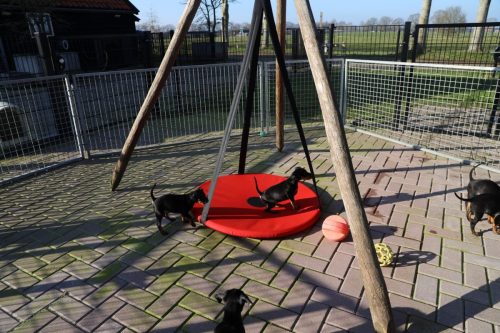 Sanne-x-Dominik-2026 75-week013