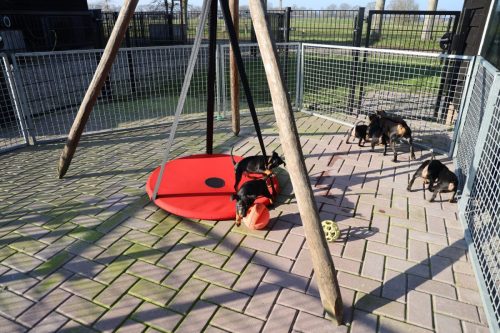 Sanne-x-Dominik-2026 75-week016