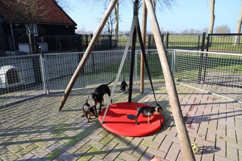 Sanne-x-Dominik-2026 75-week018