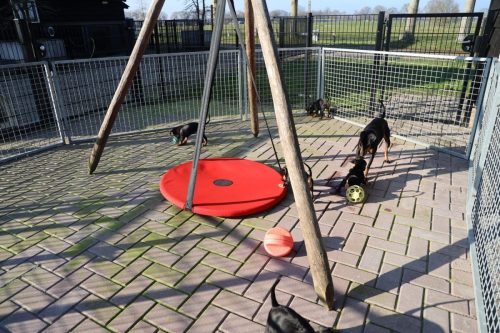 Sanne-x-Dominik-2026 75-week022