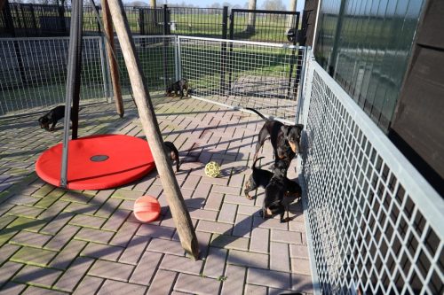 Sanne-x-Dominik-2026 75-week023