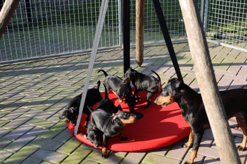 Sanne-x-Dominik-2026 75-week030